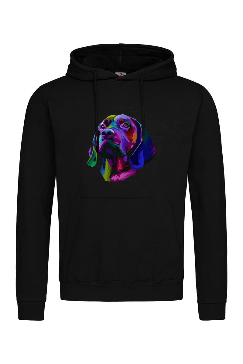 Colorfull Dog Hoodie