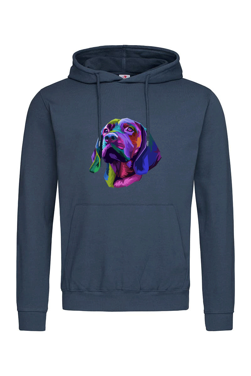 Colorfull Dog Hoodie